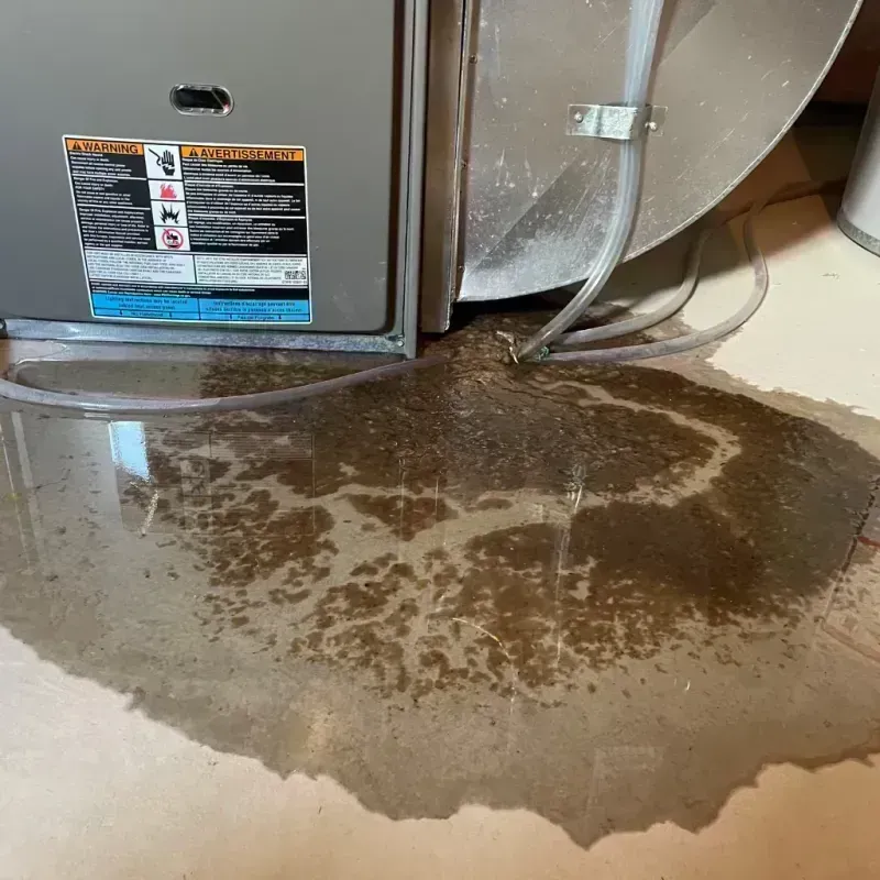 Appliance Leak Cleanup in Mirrormont, WA